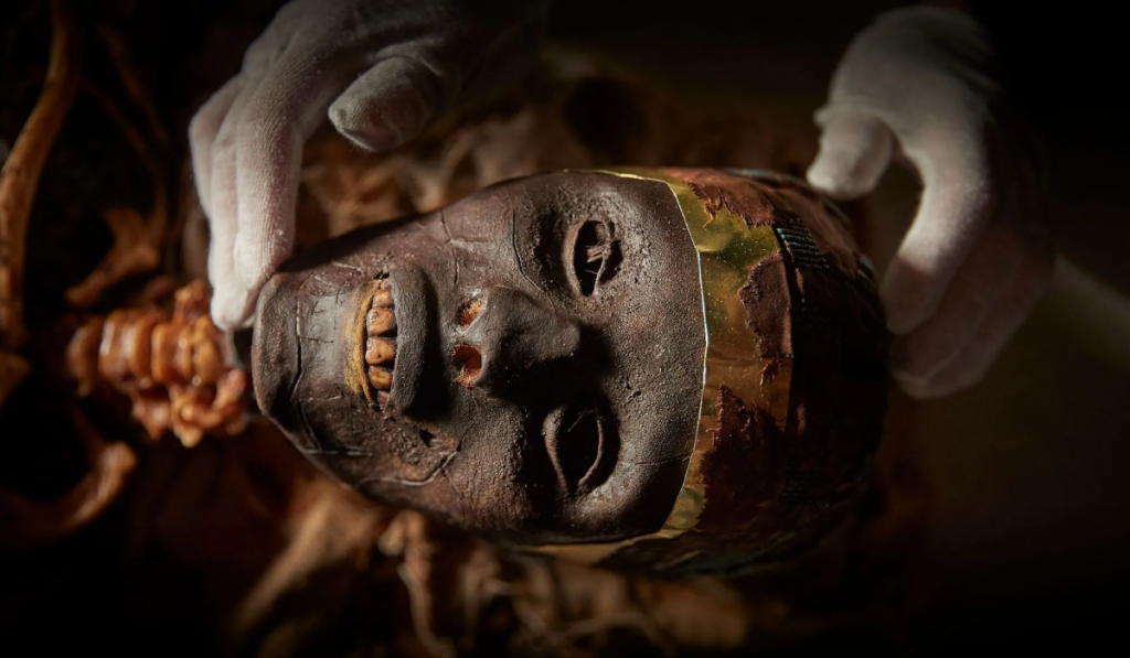 King Tut mummy face: forensic facts, reconstructions, and what the skull reveals