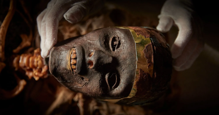 King Tut mummy face: forensic facts, reconstructions, and what the skull reveals